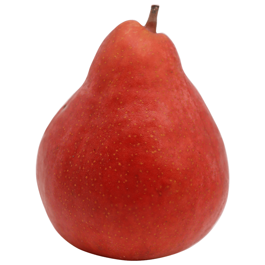 Rote Birne Alessia Rote Birne Alessia